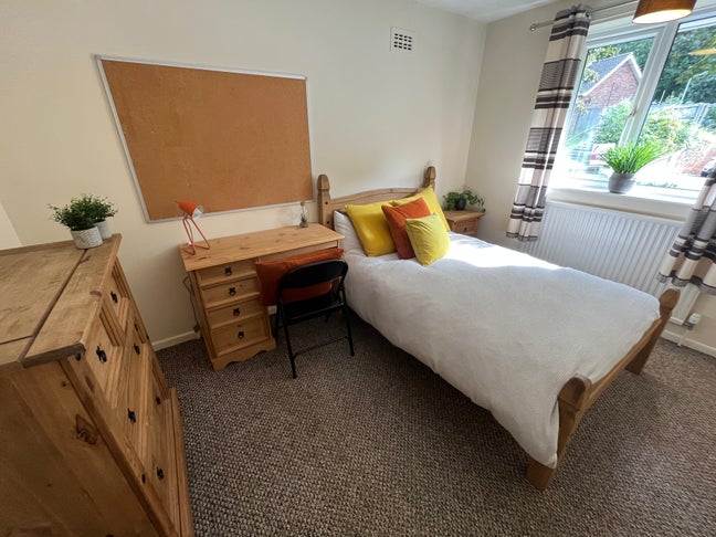 Last Student Double Room Sharing with Females Main Photo