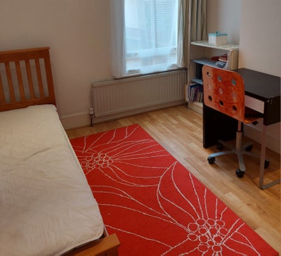 Room to rent on ground floor with own shower room. Main Photo