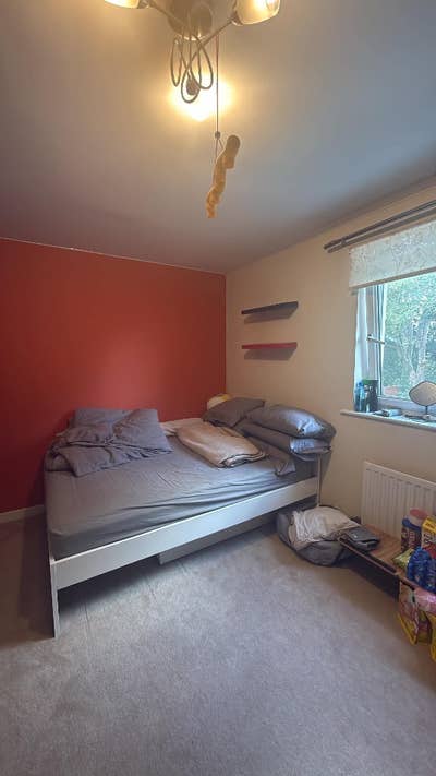 Female Roommate Wanted!! Main Photo