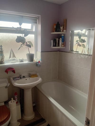Room available for working person, must like cats  Main Photo