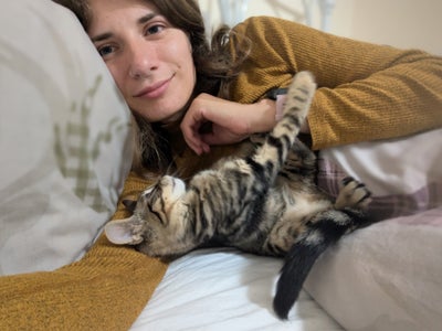 Double room wanted in Bristol for two cats and me! Main Photo