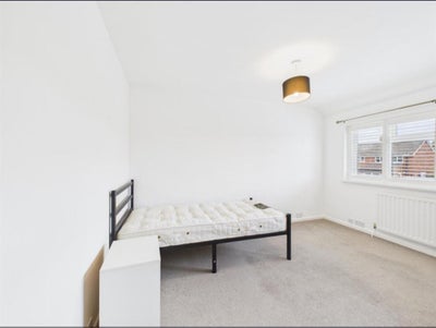 Room for rent in Bedgrove Main Photo