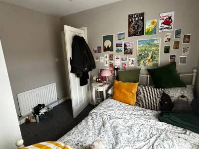 Room in East Belfast with young professional Main Photo