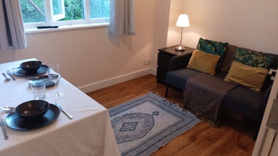  *Chiswick  Luxury*- Bedroom+Private Living Room Main Photo