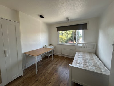 Bright & Spacious Furnished Room- Upper Edmonton  Main Photo