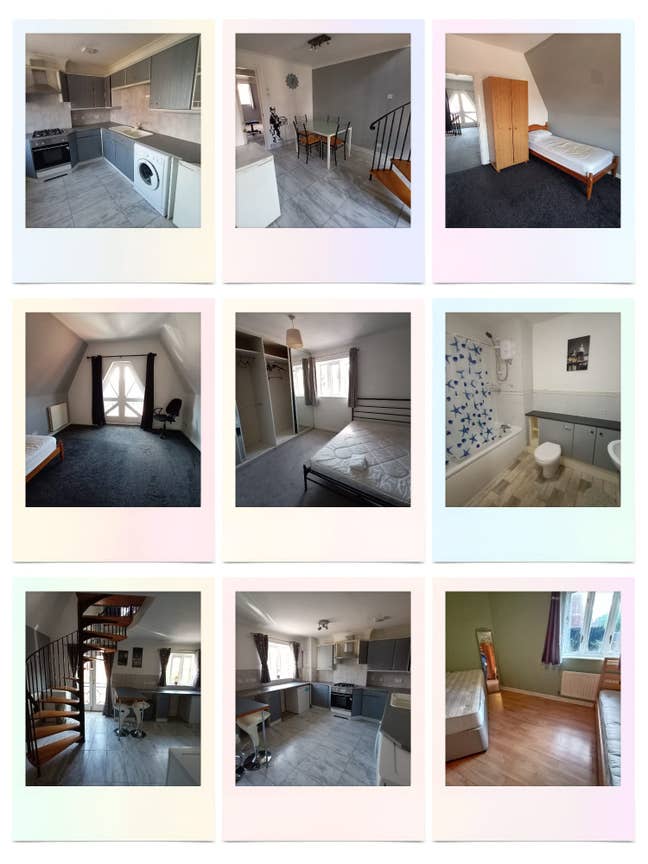 Single room available to rent for a female Main Photo