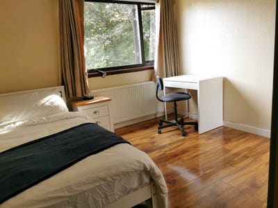 Bright Spacious Room | Bills Inc | Direct City Bus Main Photo