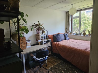 Lovely double room in Seven Sisters Main Photo