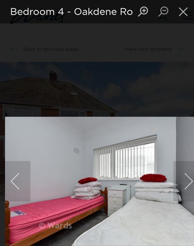 6 weeks availability  Main Photo