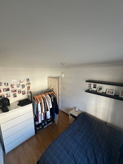 Long Term Room Available In Homerton Main Photo