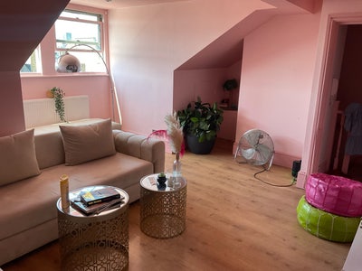 Double Room Available- Portobello  Main Photo