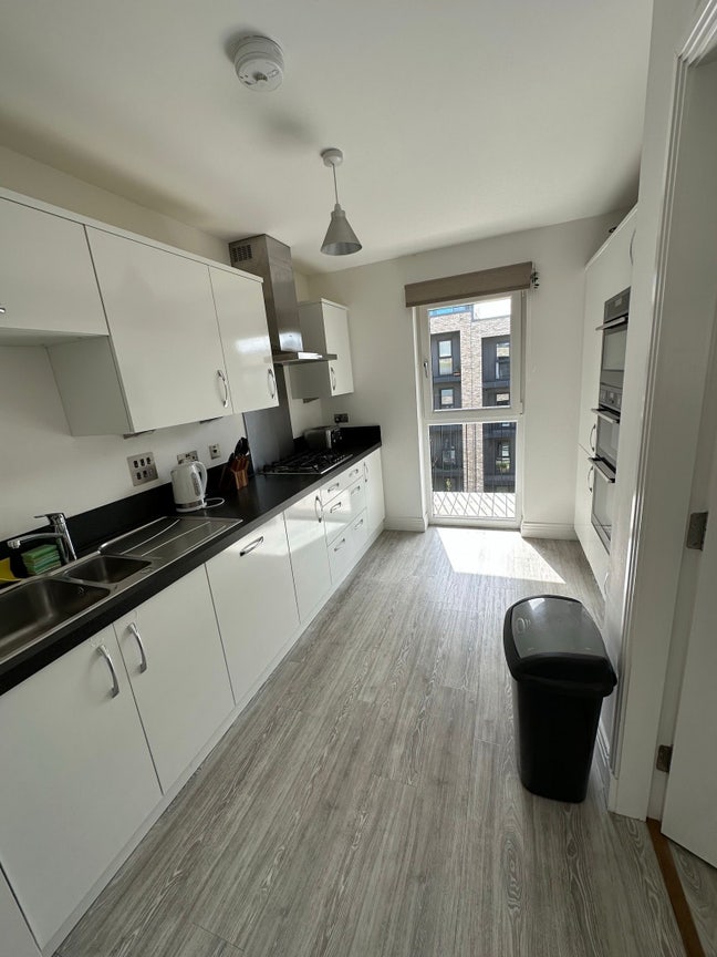 Looking for a New Flatmate  Main Photo