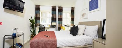 Vita Student Studio Takeover - &pound;202/week Main Photo