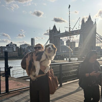 Looking for a pet-friendly long-term home Main Photo