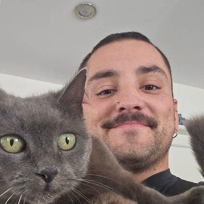 Respectful, Clean & Social Postgrad Seeking Room Main Photo