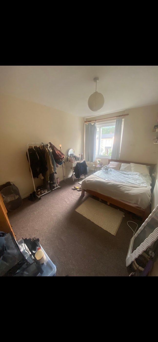 Room in a young house near Richmond Park!  Main Photo