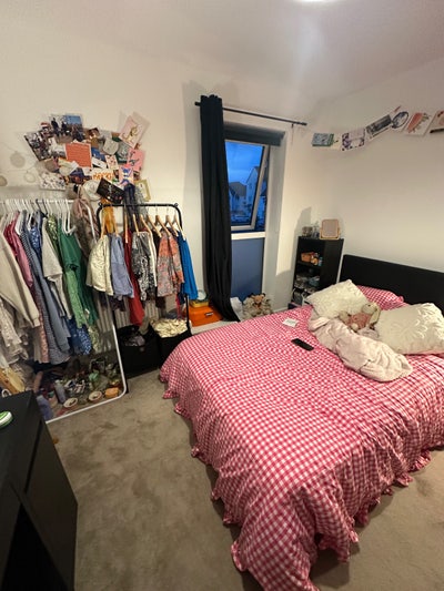 Double Room & Bathroom in 2 Bed Flat (With Dog!) Main Photo