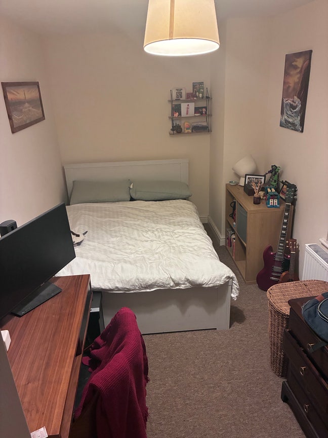 New houseMATE wanted Main Photo