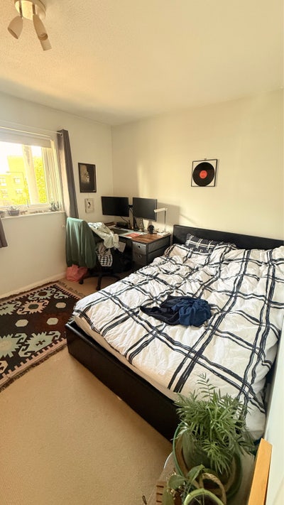 Penthouse room available! Main Photo