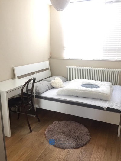 Super Price in Zone 1 -Book Today❗️🤯 Main Photo