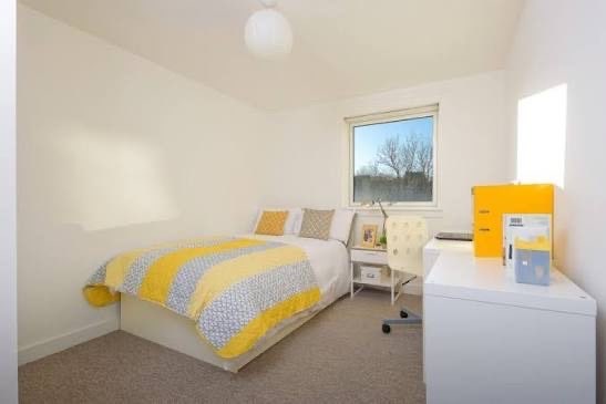 Room Available in Lovely All-Girls Student Flat Main Photo