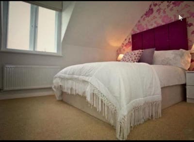 Beautiful Single & Spacious Double Rooms Available Main Photo