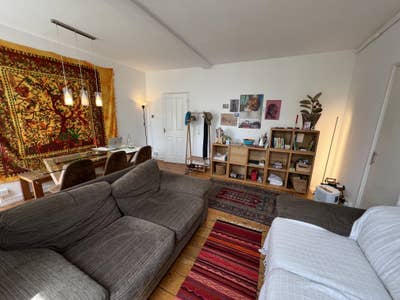 Cosy Double Room in spacious, bright Brixton flat Main Photo
