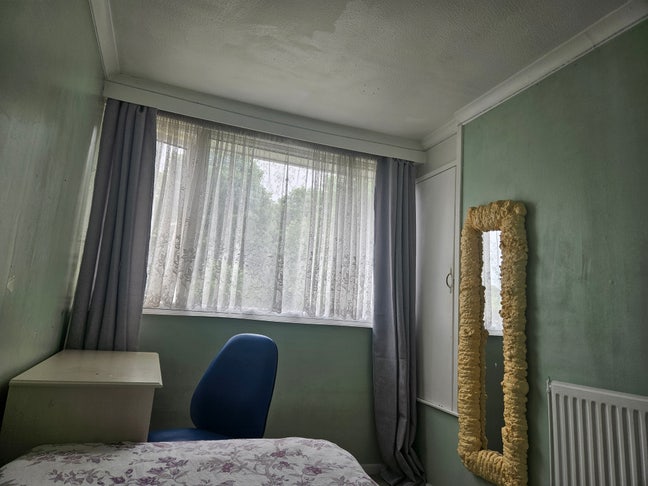 Large Newly Refurbished Single Room to Let  Main Photo