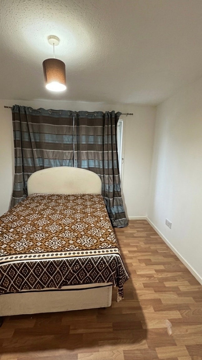 1 Friendly Female required for room Main Photo