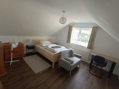 Furnished Doubles, Lodger/Tenant Wanted Main Photo