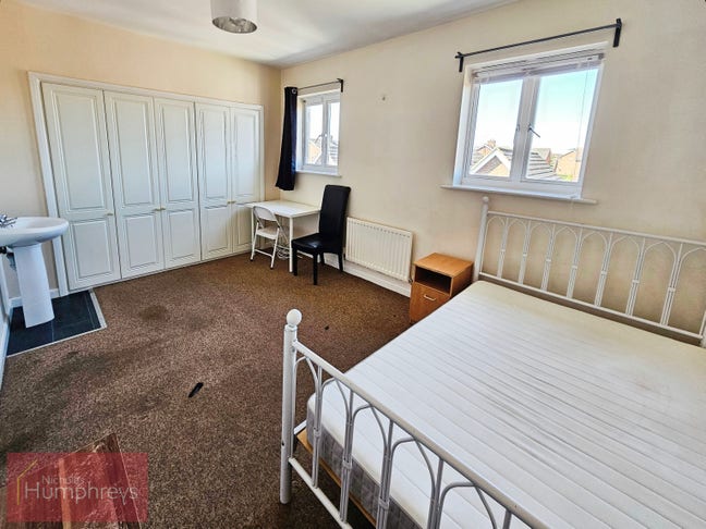 Professional Room Available  Main Photo
