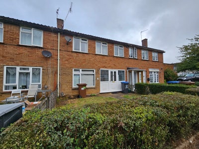 Professional Rooms Available in Hatfield  Main Photo