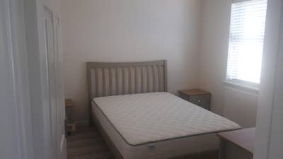 Double bedroom available in a house in Narberth Main Photo