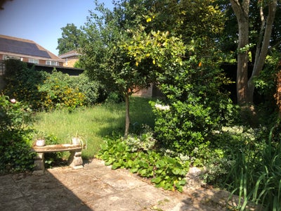 Walk to Town|4 Doubles|Detached|Garden|Parking Main Photo