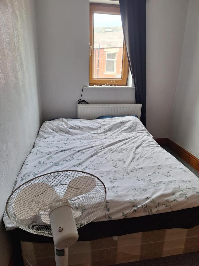 Looking for a housemate Main Photo
