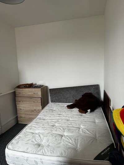 1st Floor Room to rent in 3 story House Main Photo