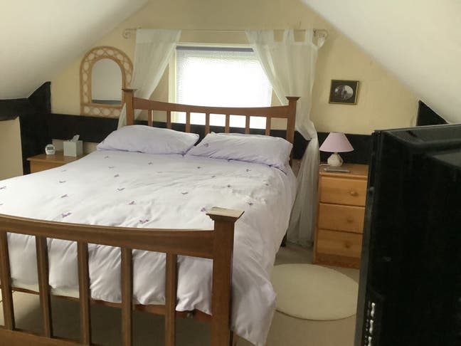 Lovely room suit lady Main Photo