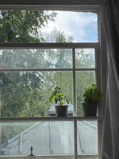 August sublet in sunny Dalston houseshare 🐈 Main Photo