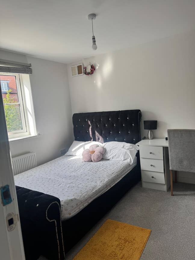 Lovely double bedroom for professionals  Main Photo