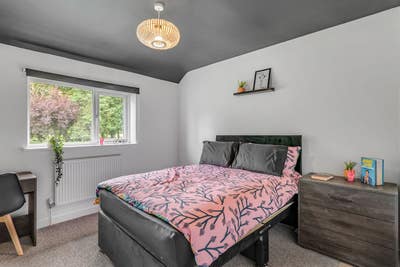  6 bedroom Professional Rooms Available  Main Photo
