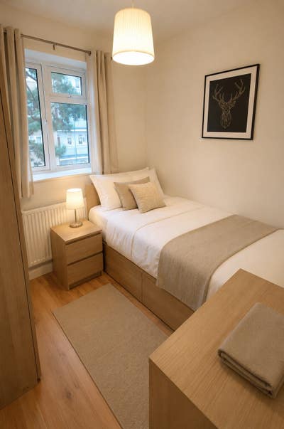 Great room in clean friendly flat Main Photo