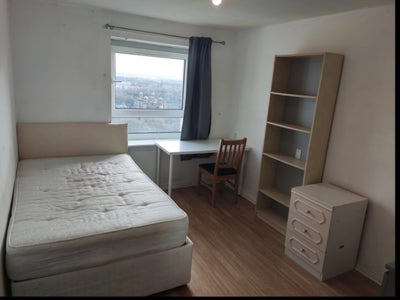 Rooms to rent in Glasgow city centre  Main Photo
