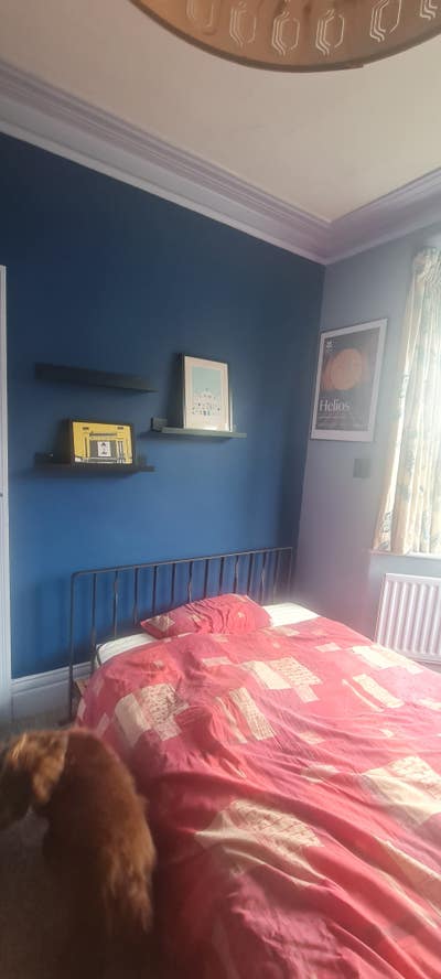 Friendly family home, occupants all adults Main Photo