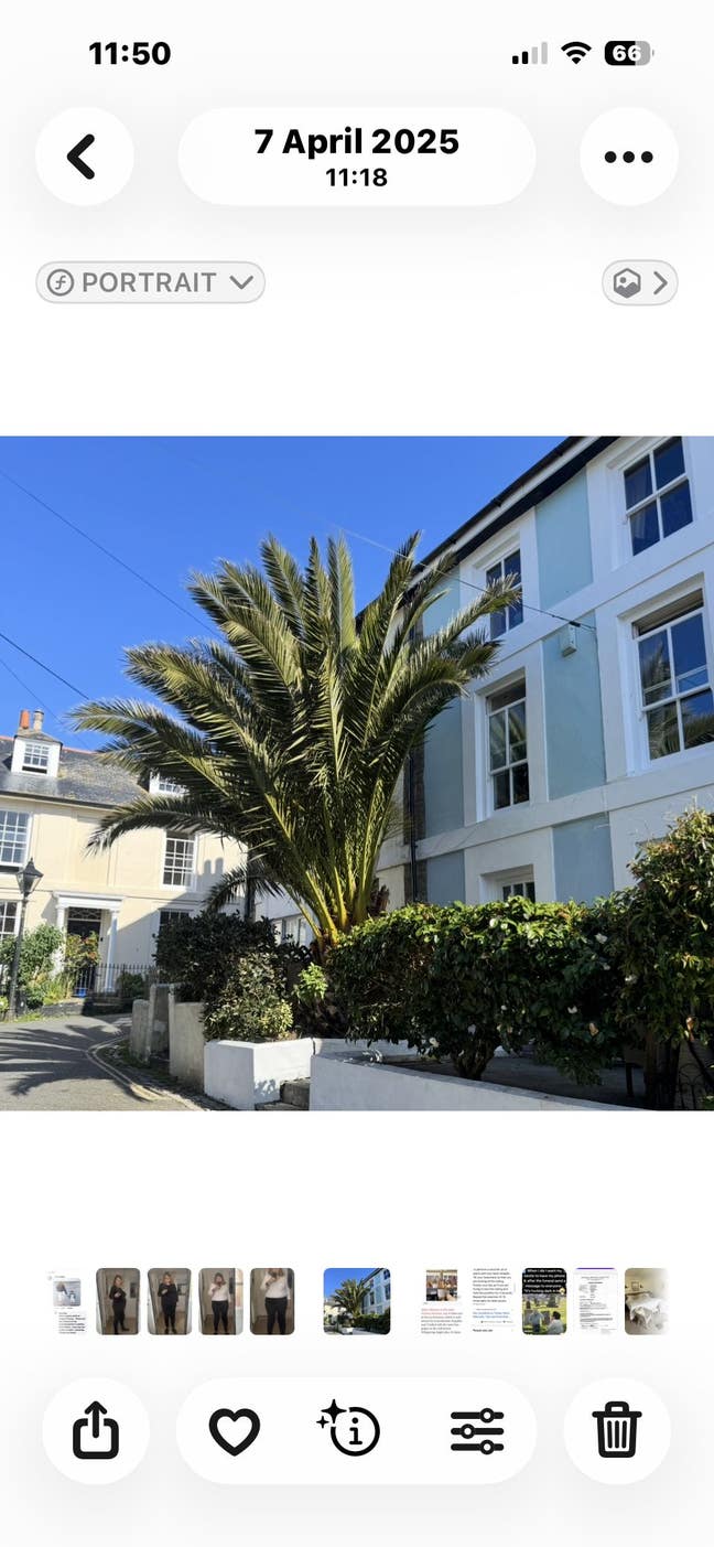 Room available in lovely house. Main Photo