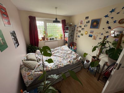 Bright Double Room near Stratford Main Photo