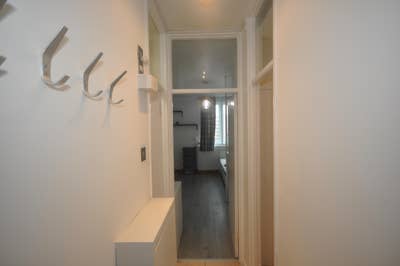 Spacious Studio in Euston  Main Photo