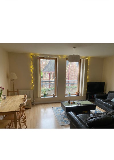 Clifton Room in fun, professional house!  Main Photo