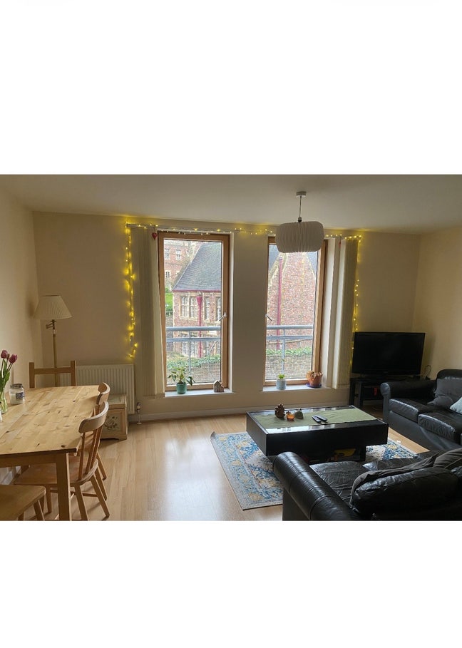 Clifton Room in fun, professional house!  Main Photo