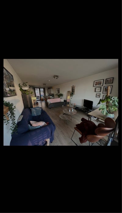 Double room in 3 bed flat  Main Photo