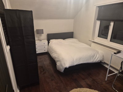 Modern Professional Room | All Bills | Mon-Fri  Main Photo
